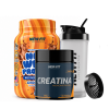 Kit New Whey Protein Chocotine 900g + Creatina 300g + Coqueteleira